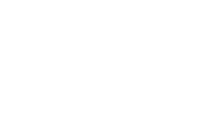 Wulf HR white logo